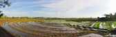 Tanah_Lot_-_Reisfelder.jpg
