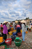 Mui Ne - Fish Market | 54/100