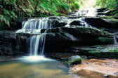 Katoomba - Blue Mountains - Leura Cascades | 69/240