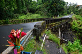 USA - HAIKU - Road to Hana - Wailu Valley | 89/95