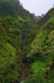 USA - Kula - Road to Hana - Wailu Valley | 90/95