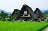 Japan - Shirakawa - Shirakawa Farmer Village | 59/127