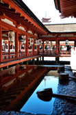 Japan - Hatsukaichi - Itsukushima Shrine | 74/127