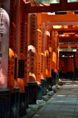 Japan - Kyōto - Fushimi-inari-taisha Shrine | 92/127