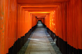 Japan - Kyōto - Fushimi-inari-taisha Shrine | 93/127