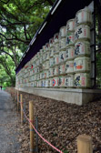 Japan - Shibuya - Meiji Shrine - Sake Bowl | 27/127