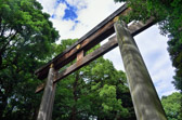 Japan - Shibuya - Meiji Shrine | 28/127
