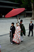 Japan - Shibuya - Meiji Shrine | 30/127