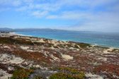 Monterey - State Beach | 77/125