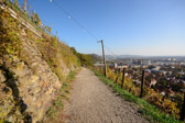 Maribor  - Wine yards | 9/15