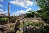 Italien - Rom - Forum Romanum | 59/95