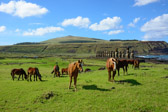 Chile - Isla de Pascua - Ahu Tongariki | 112/135