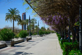 Spanien - Sevilla - Paseo Cristóbal Colón (Plaza de Toros) | 79/165