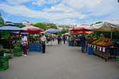 Tschechische Republik - Brünn - Vegetable Market | 11/15