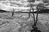 USA - Yellowstone National Park - Mammoth Hot Spring - Trail Springs | 68/190