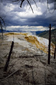 USA - Yellowstone National Park - Mammoth Hot Spring - Trail Springs | 69/190