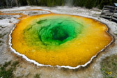 USA - Yellowstone National Park - Morning Glory Pool | 100/190