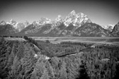USA - Grand Teton Nationalpark - Snake River Overlook - Tribute to Ansel Adams | 107/190
