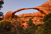 USA - Moab - Arches National Park - Landscape Arch | 134/190