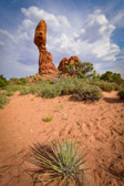 USA - Moab - Arches National Park - Balanced Rock | 139/190