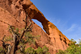 USA - Moab - Arches National Park - Skyline Arch | 140/190