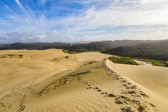 Neuseeland - Cape Reinga - Giant Sand Dunes | 44/130
