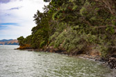 Neuseeland - Thames - Coromandel Peninsula Coast | 61/130