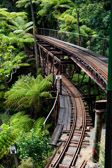 Neuseeland - Coromandel - Driving Creek Railway | 68/130