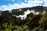 Neuseeland - Rotorua - Pōhutu Geyser | 78/130