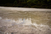 Neuseeland - Reporoa - Wai-O-Tapu Thermal Wonderland | 89/130