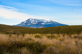 Neuseeland - Turangi - Mount Tongariro | 91/130