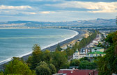 Neuseeland - Napier - Marine Parade Beach | 109/130