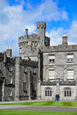 Ireland - Kilkenny - Kilkenny Castle | 1/100