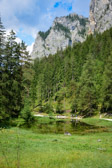 Österreich - Tragöß - Grüner See | 3/15