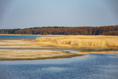 Estland - Eru - Eru seaside | 32/100