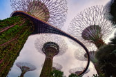 Singapur - Marina Bay - Supertree Grove | 28/45
