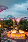 Singapur - Marina Bay - Supertree Grove | 29/45