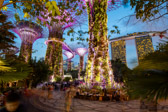 Singapur - Marina Bay - Supertree Grove | 32/45