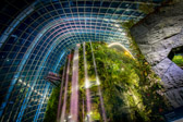 Singapur - Marina Bay - Cloud Forest | 33/45
