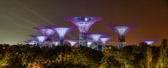 Singapur - Marina Bay - Supertree Grove | 36/45