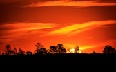 Südafrika - Mossel Bay - Gondwana Safari Sunset | 72/140