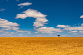 Südafrika - Oudtshoorn - Oudtshoorn Desert | 97/140
