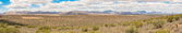Südafrika - Oudtshoorn - Oudtshoorn Desert | 99/140