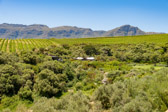 Südafrika - Stellenbosch - Hidden Valley Winery | 122/140