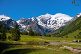 Käfertal - Fusch an der Großglocknerstraße - Österreich | 1/40