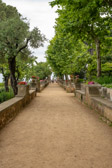 Italien - Ravello - Villa Cimbrone Garden | 78/140