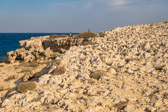 Republik Zypern - Agia Napa - Kap Greco Rock Formation | 46/100